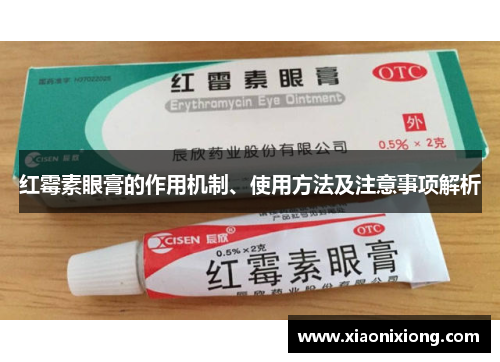 红霉素眼膏的作用机制、使用方法及注意事项解析 红霉素眼膏的作用机制、使用方法及注意事项解析