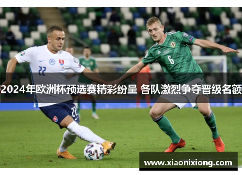 2024年欧洲杯预选赛精彩纷呈 各队激烈争夺晋级名额 2024年欧洲杯预选赛精彩纷呈 各队激烈争夺晋级名额